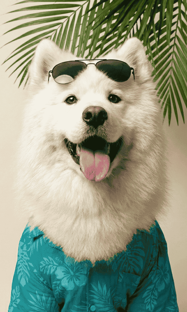 Un perro Esquimal americano sonriente con gafas de sol, camisa tropical color azul y hojas de palma detrás.