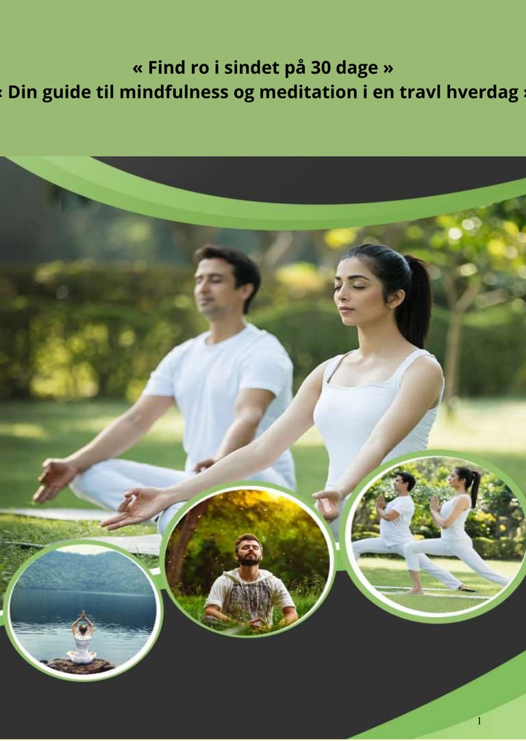 Find ro, energi og balance på 30 dage med mindfulness-meditation. Praktisk dansk guide til et sunder