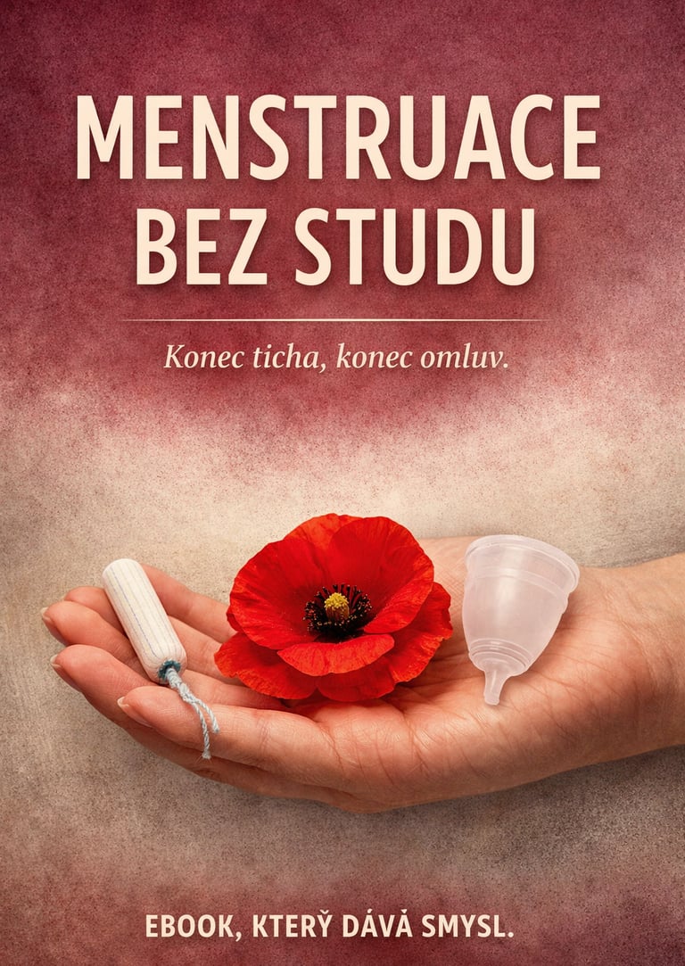 Menstruace bez studu: praktický ebook o menstruační chudobě v Česku, nákladech, bolesti, škole a prá