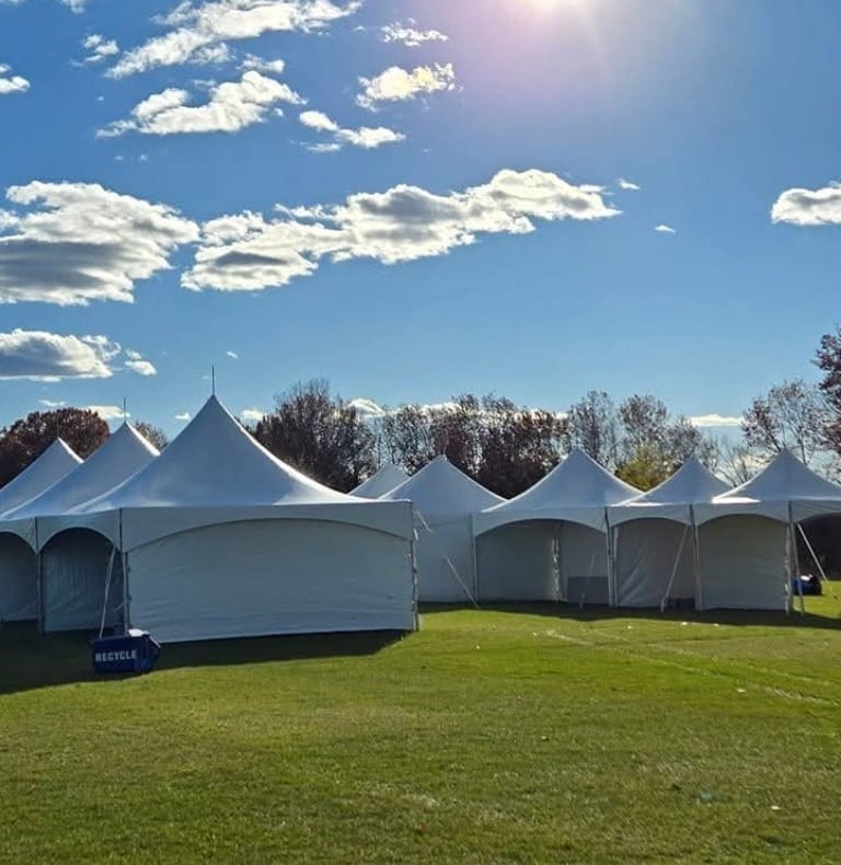 Carpas agrupadas el paso diamond events