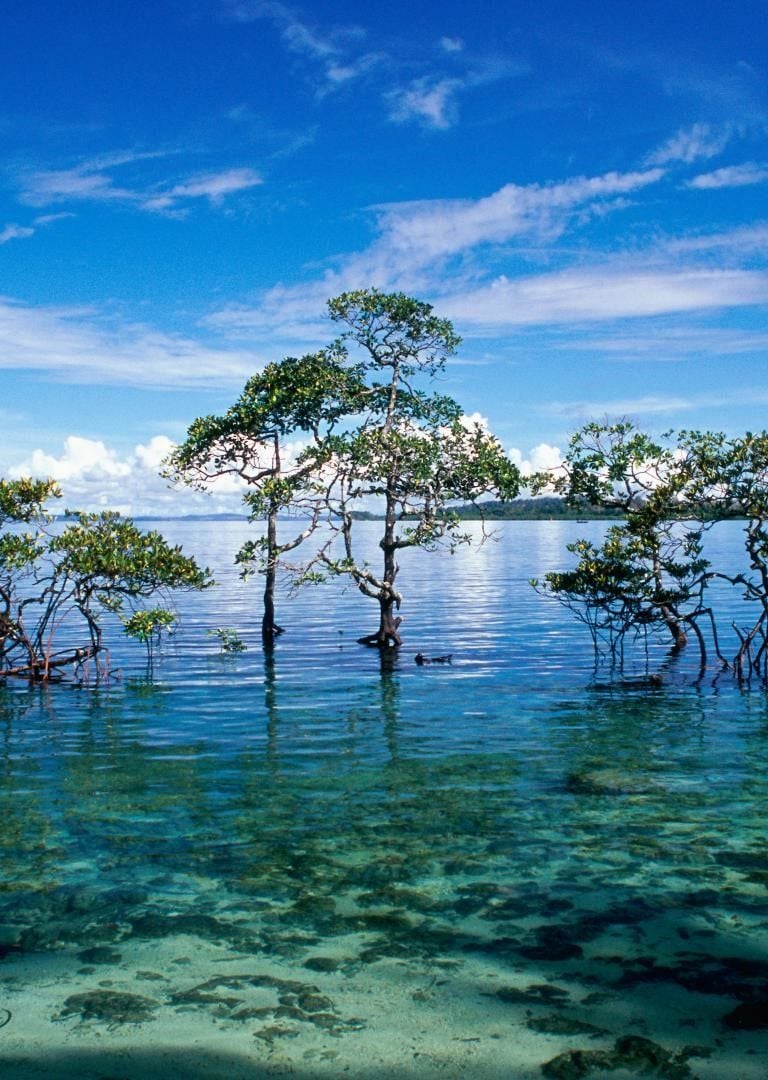 lakshadweep-island-beach side-joshua tours