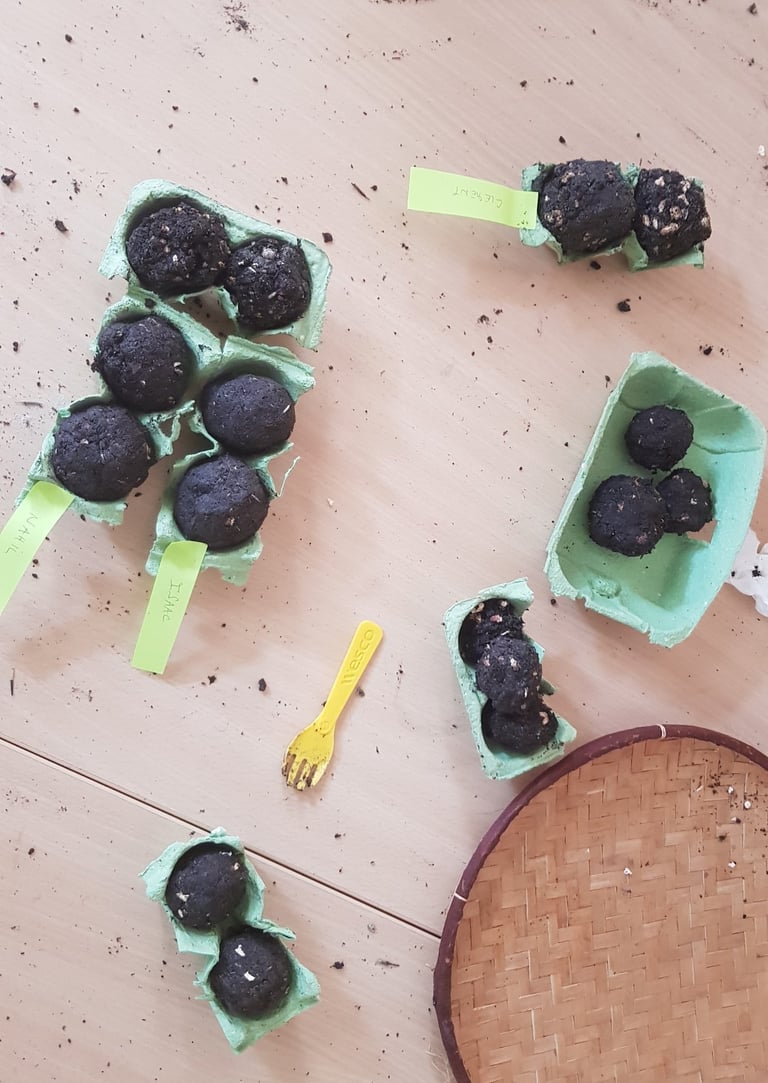 fabrication de bombes à graines: un geste ludique pour favoriser la biodiversité