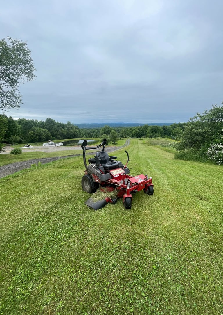A lawn mower in a freshly mowed lawn