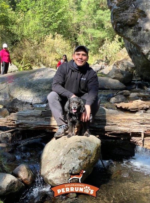 hombre y su perro negro sentados en un tronco sobre un arroyo en el bosque mientras hacen senderismo