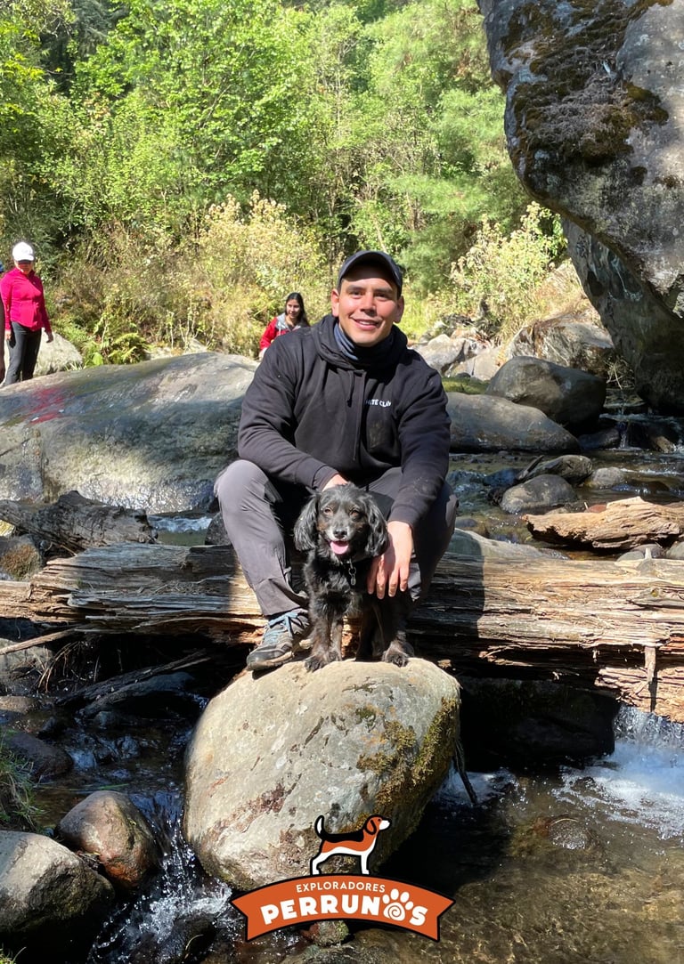 Un hombre sonriente pasea con su pequeño perro negro sobre las rocas de un río en un frondoso bosque