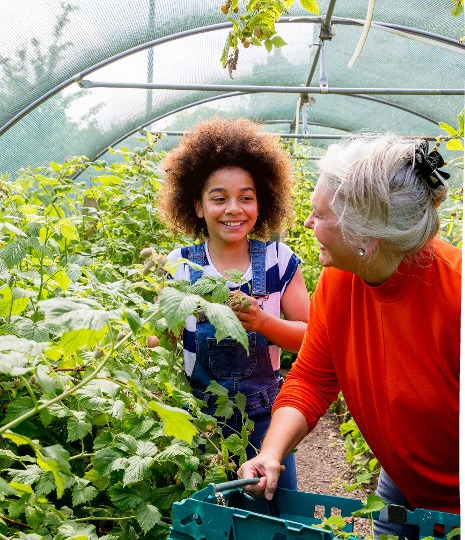 A grandmother and a young girl in the greenhouse