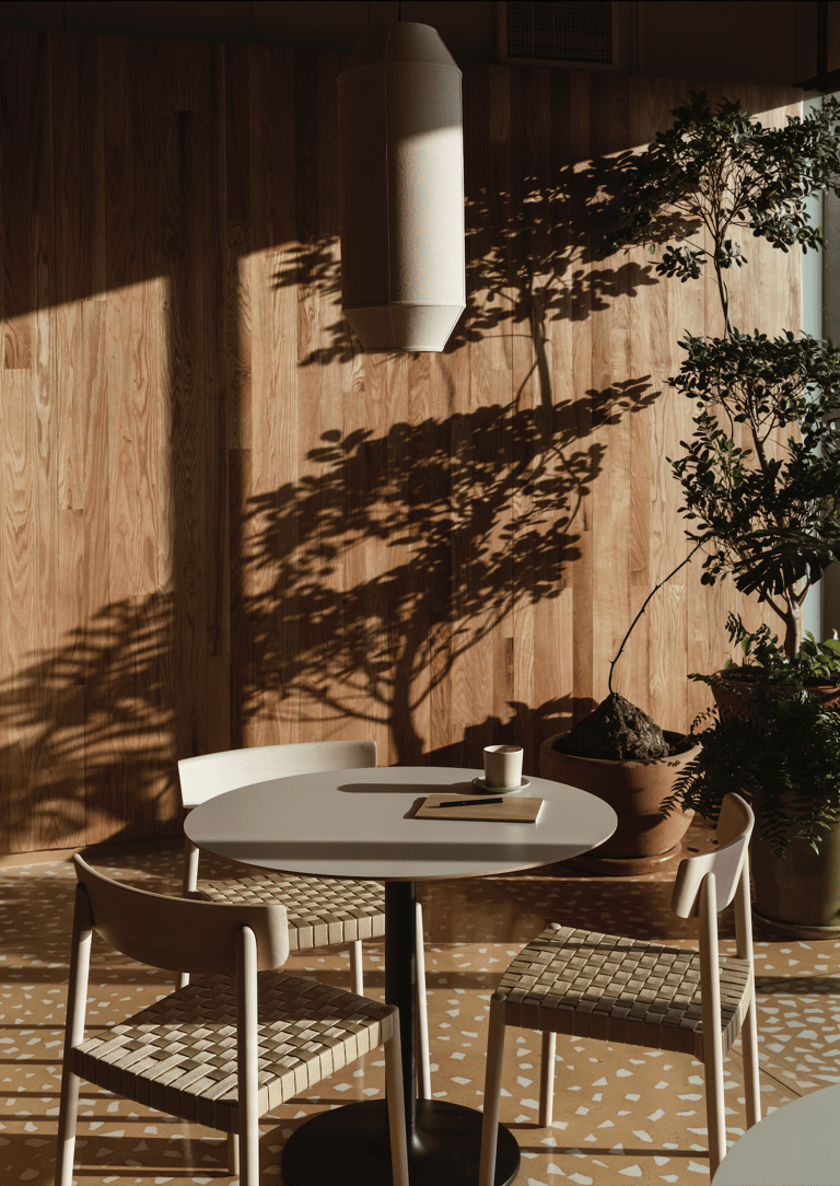 Peaceful clinic outdoor space with sunlight and shadows – a calming environment for care.