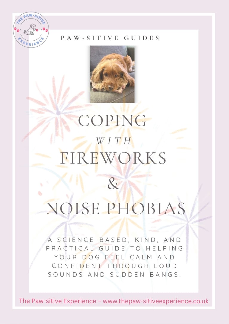 Coping with fireworks and noise phobias book cover 