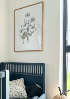 Kids Room with animals illustrations framed art print hanged on the walls