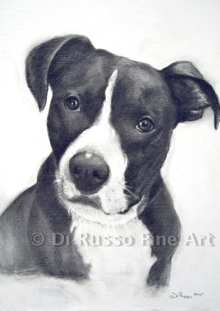 "Ajax Rannellone" Pencil on Canvas  "10"x14"