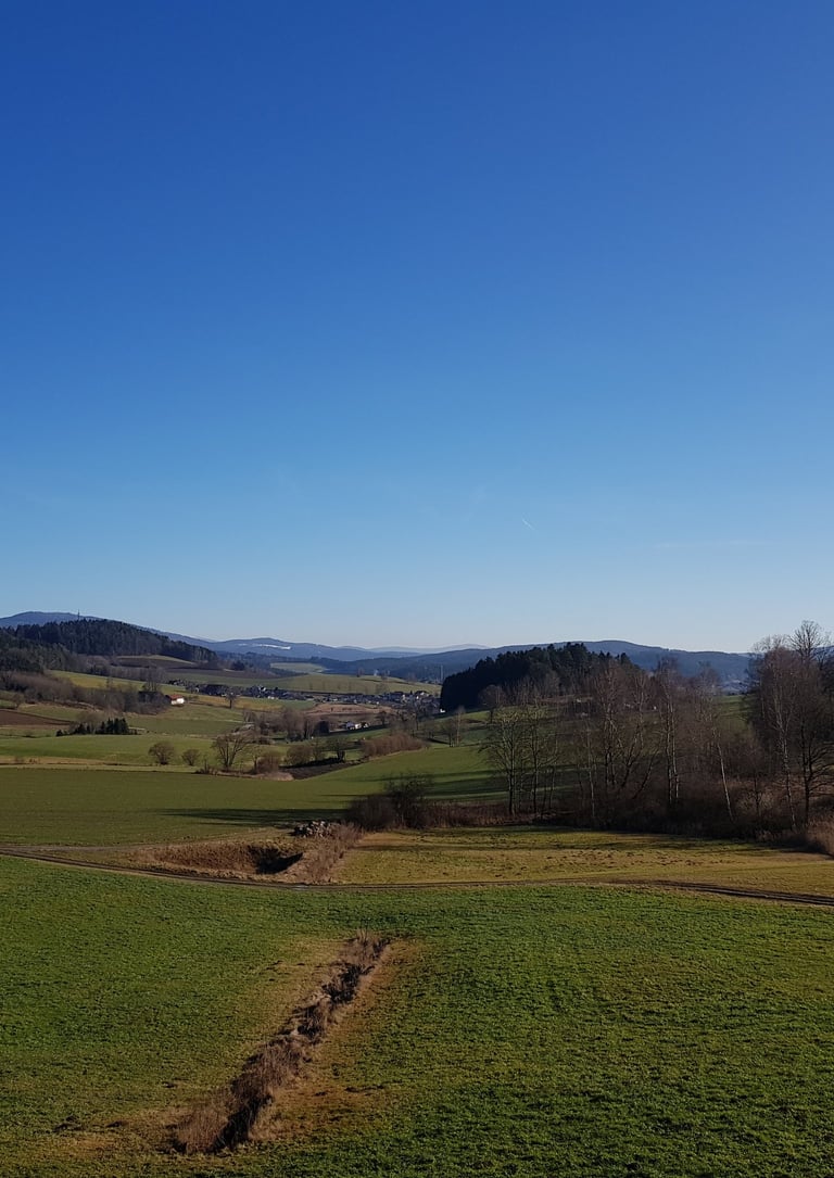 Aussicht im Bayerischen Wald
