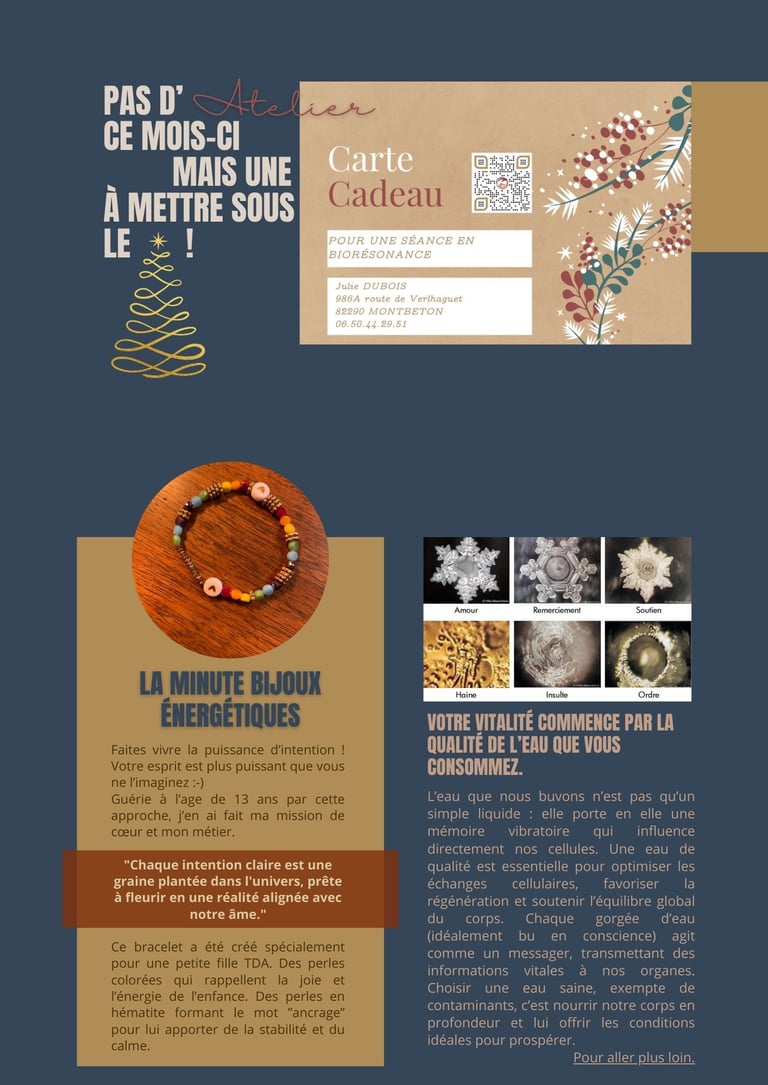 décembre 2024 newsletter p2