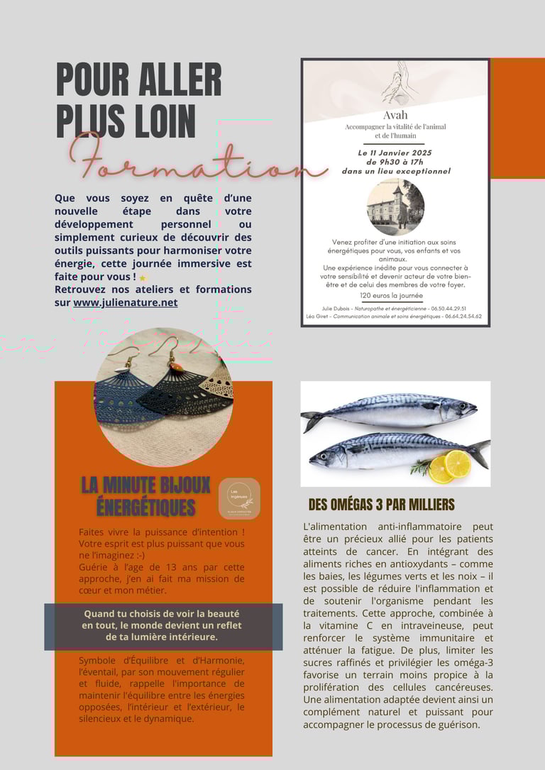 janvier 2025 newsletter p2