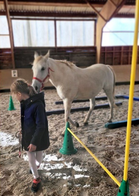 médiation équine : parcours de motricité avec le cheval
