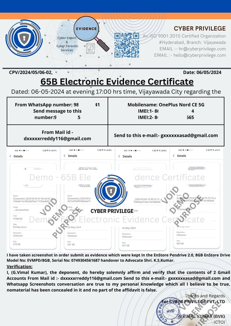 65b electronic evidence court advocate lawyers cyber privilege 8977308555