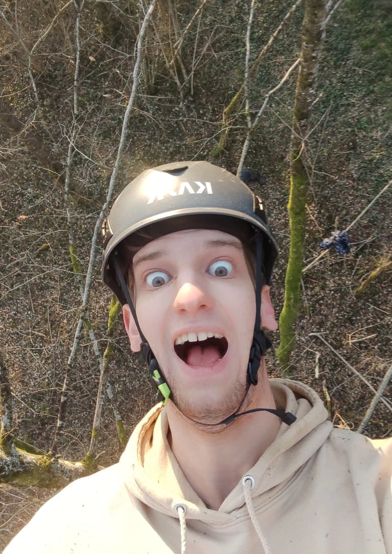 selfie de la cime d'un hêtre en forêt