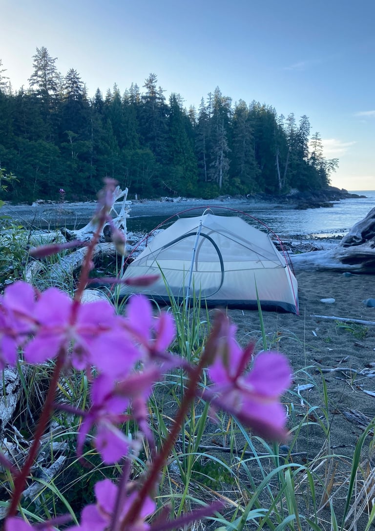 a tent pitched up in the sand near a beach
