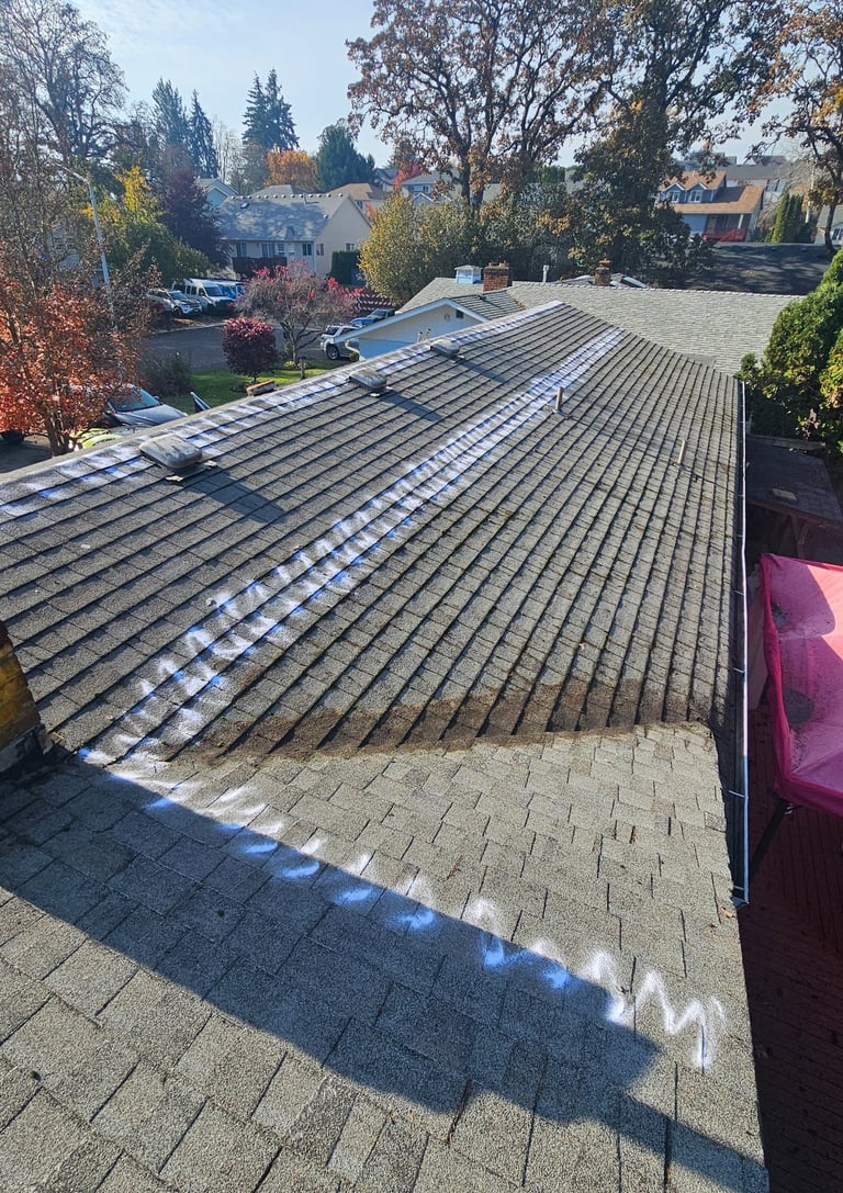 a clean roof after a soft wash