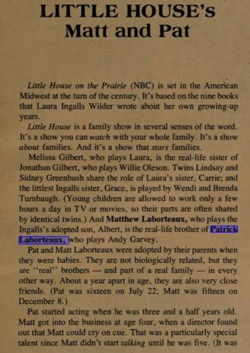 TV82 book about Matthew & Patrick Labyorteaux