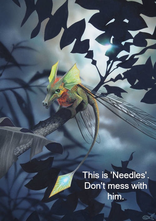 Mischievous bug dragon