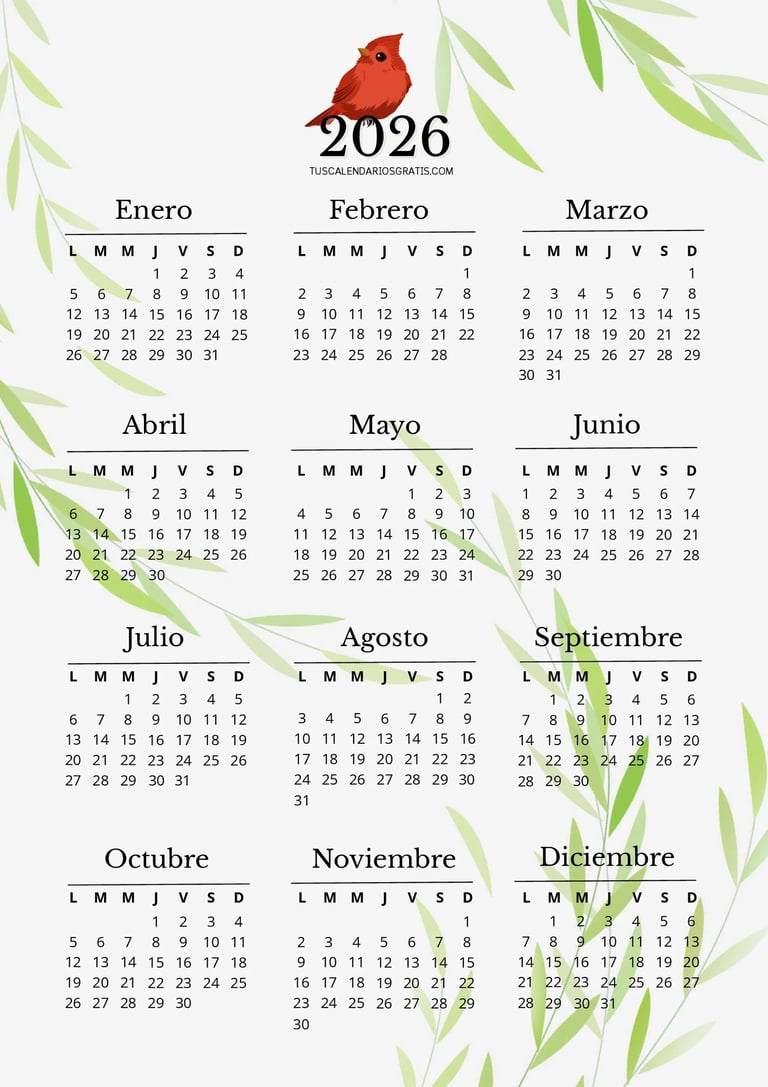 calendario anual 2026 cardenal rojo para imprimir gratis diseño elegante organizacion planificacion 