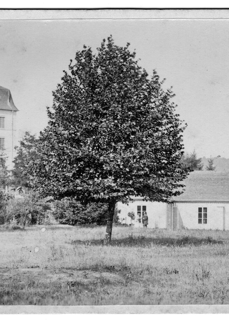 galerie en bois (photograph Martin-Bichain)