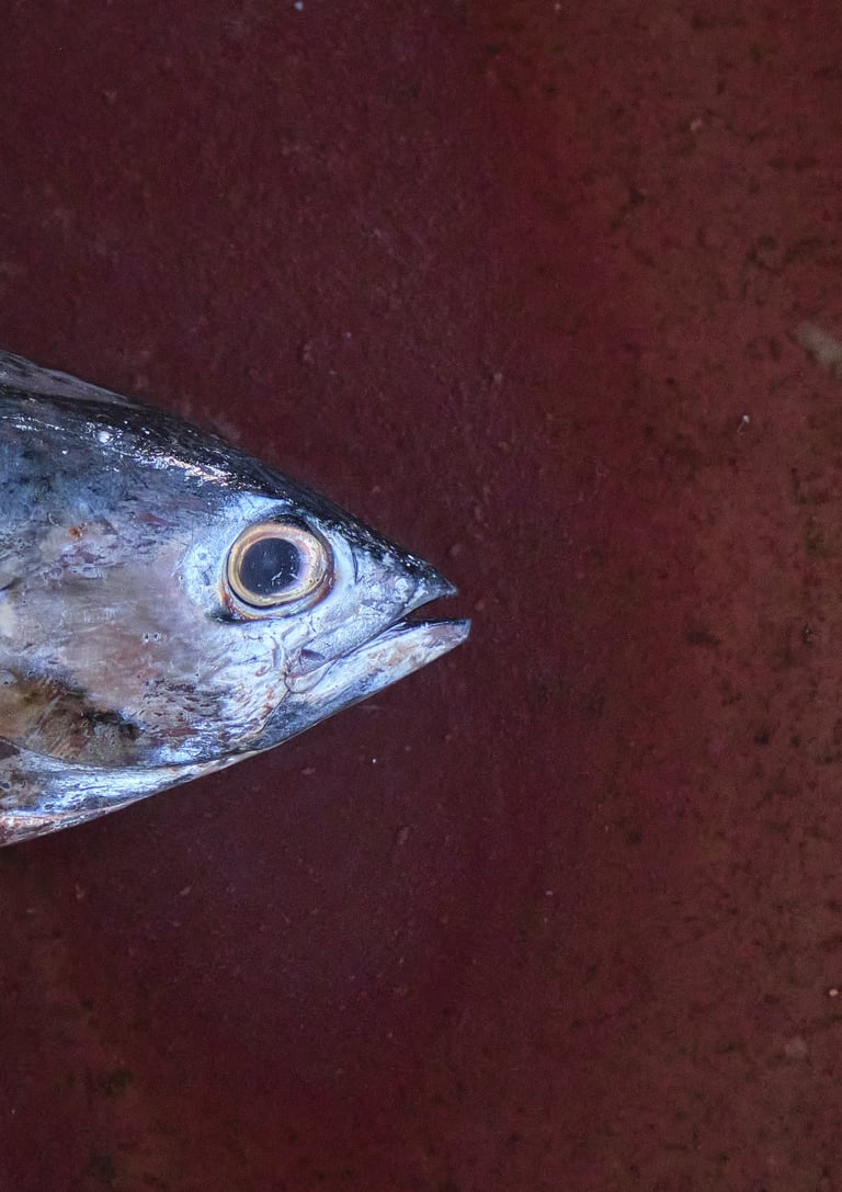 A fresh whole tuna fish head resting on a dark red surface at a seafood market.