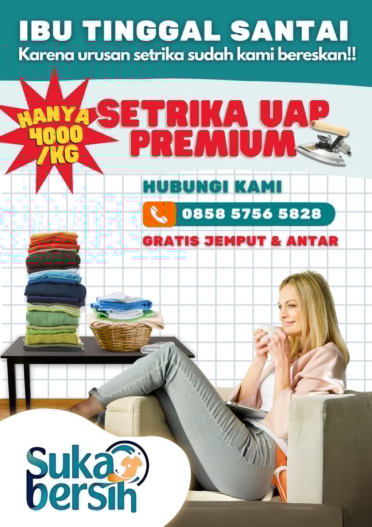 setrika uap premium