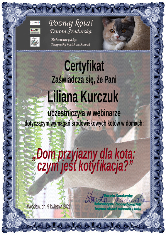 Webinar: Dom przyjazny dla kota, czym jest kotyfikacja? (Dorota Szadurska)