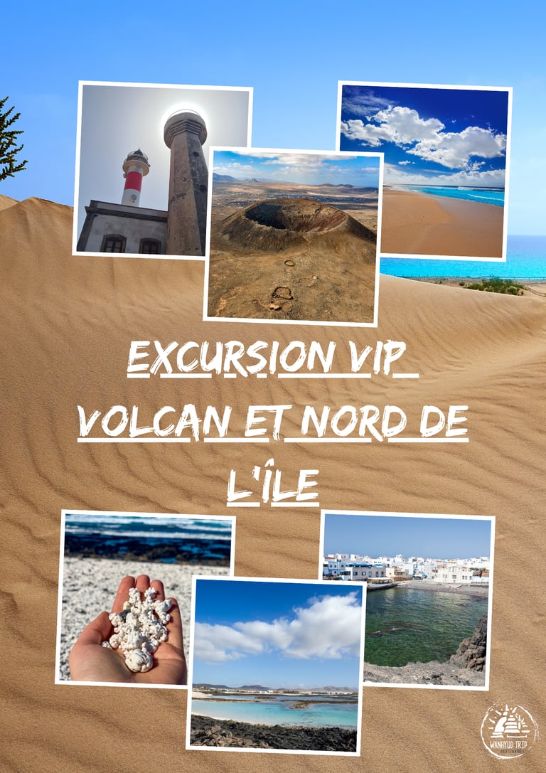 Excursion Fuerteventura volcan