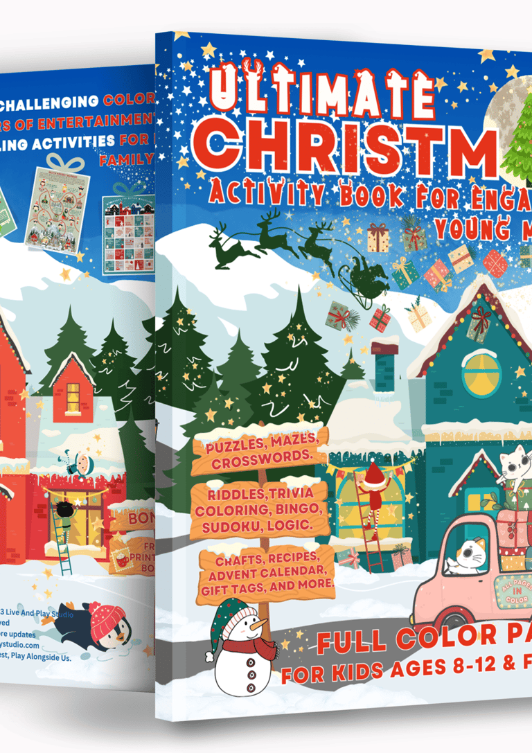 Christmas Activity Book For Kids Puzzle Book For Kids Christmas Gifts IdeaSanta Postcard