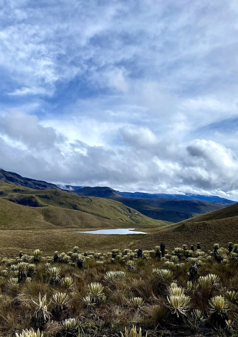 Travesía a Salento desde Anzoátegui Tolima, cruce de páramo y trekking de 4 días.