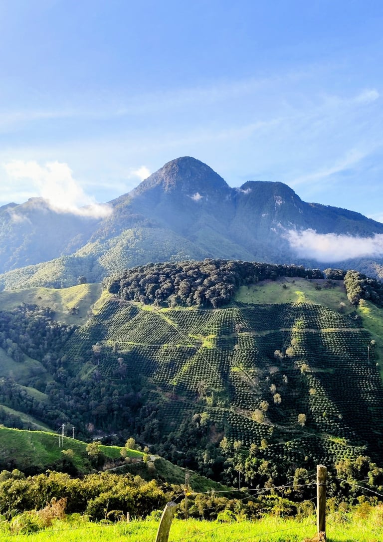 Cerro Guambeima en Anzoátegui Tolima, amanecer en alta montaña con vista a los Nevados