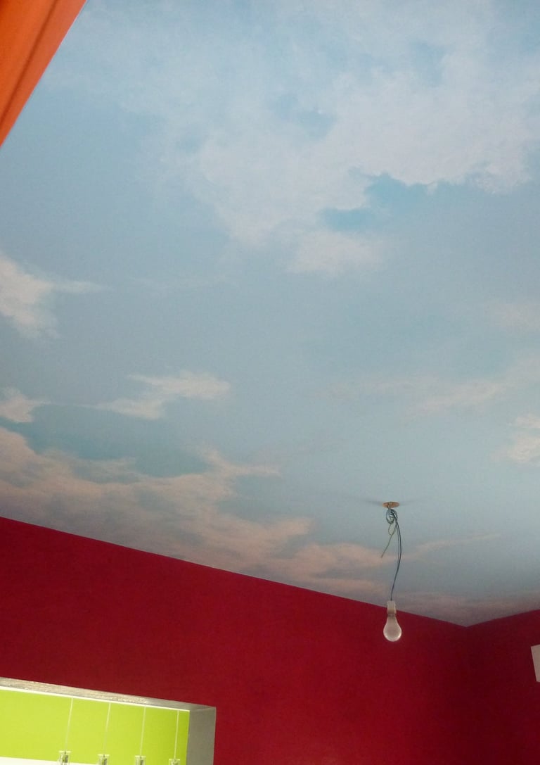 Ce ciel plafonnant contemporain créé une touche d'originalité et invite à l'évasion dans une entrée stylée et très moderne. 