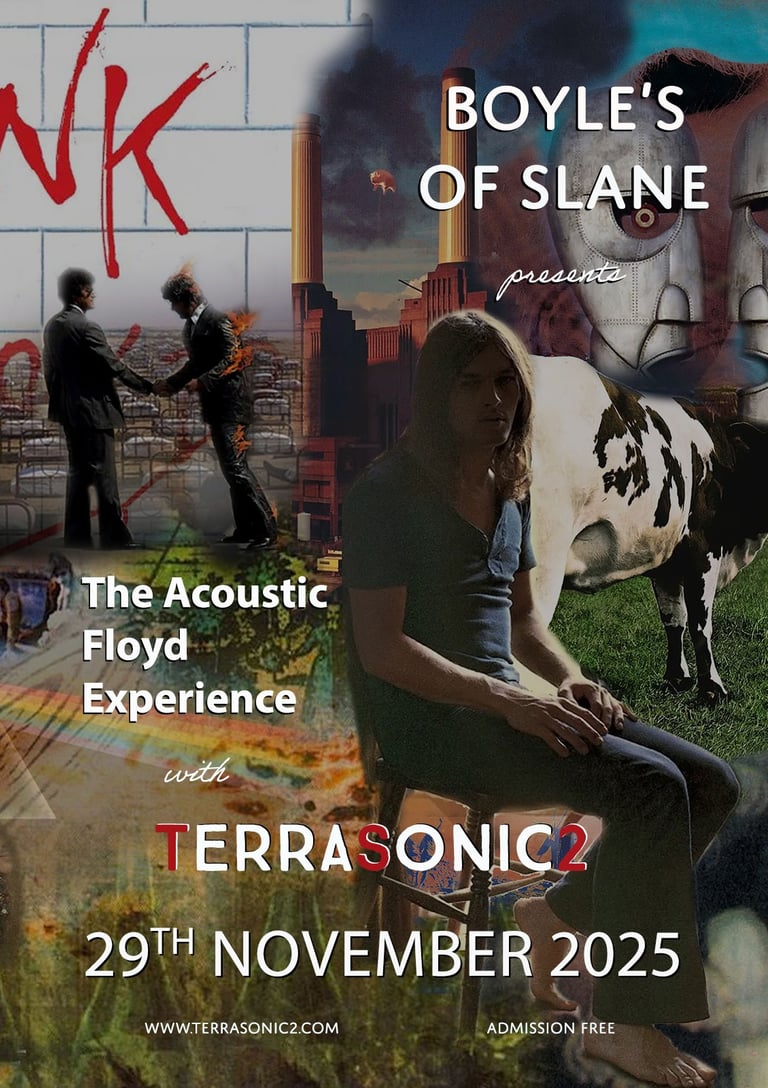 TerraSonic2 'Acoustic Floyd Experience', Pink Floyd live show. Boyle's of Slane. official Poster