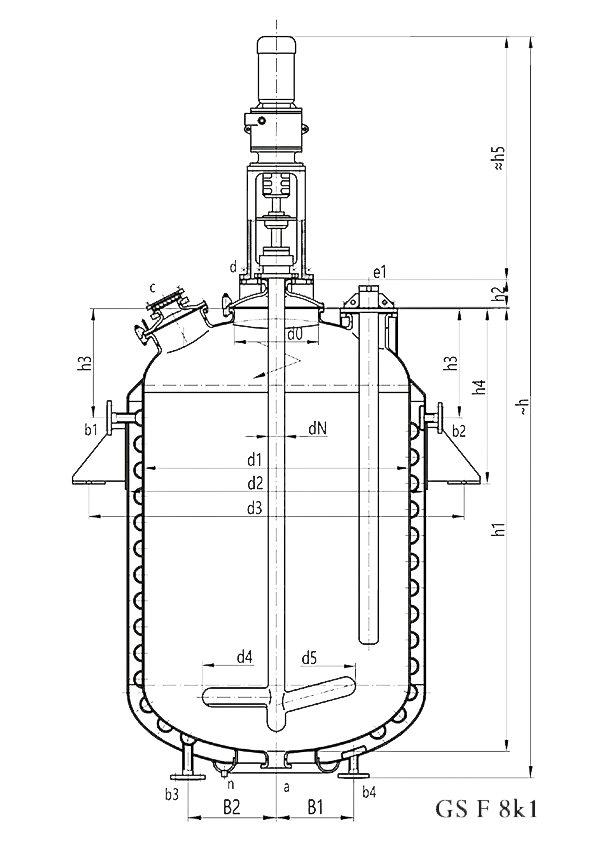 Glass lined reactor F type