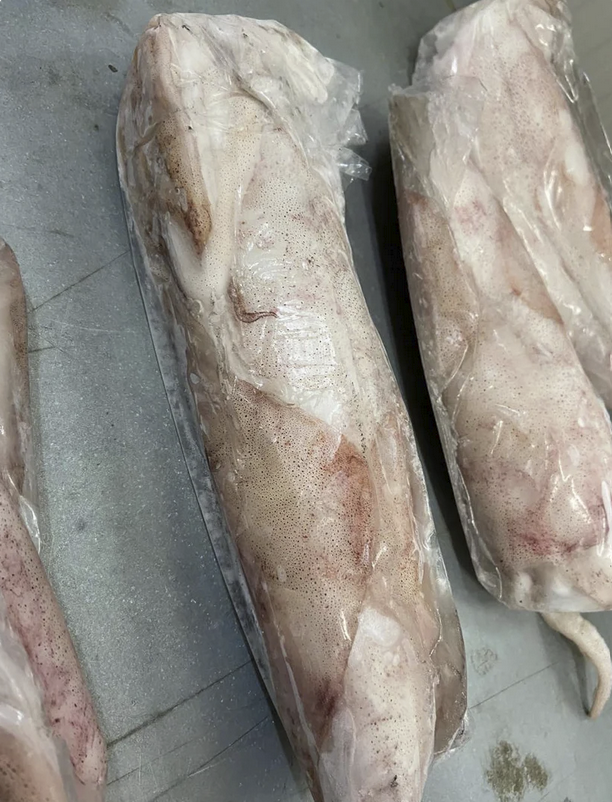 Frozen Calamari selected, packed and prepared for export by Quality Sea Products in Morocco