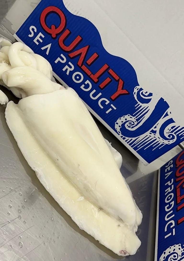 Frozen Cuttlefish selected and prepared for export by Quality Sea Products in Morocco
