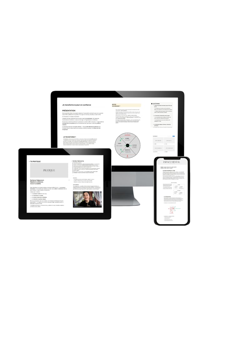 Système de transformation intérieure et reprogrammation émotionnelle