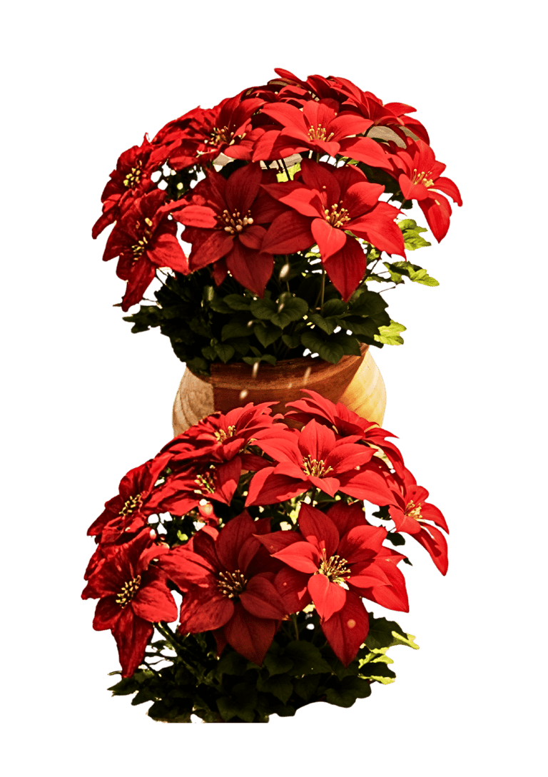 Pascueros #SomosBarrio