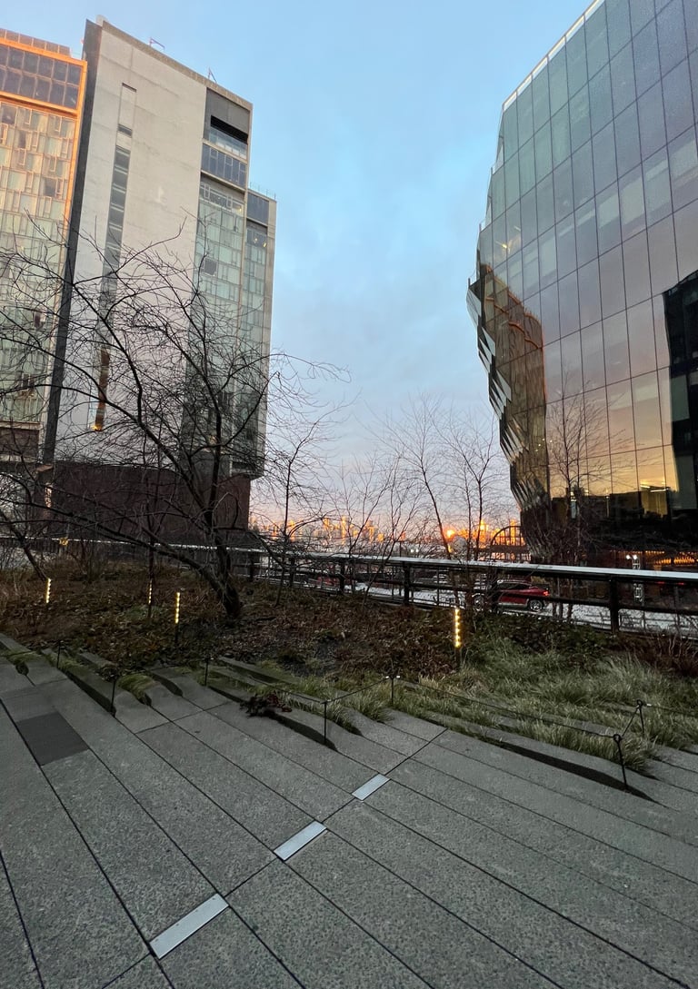 Sunrise on the High Line