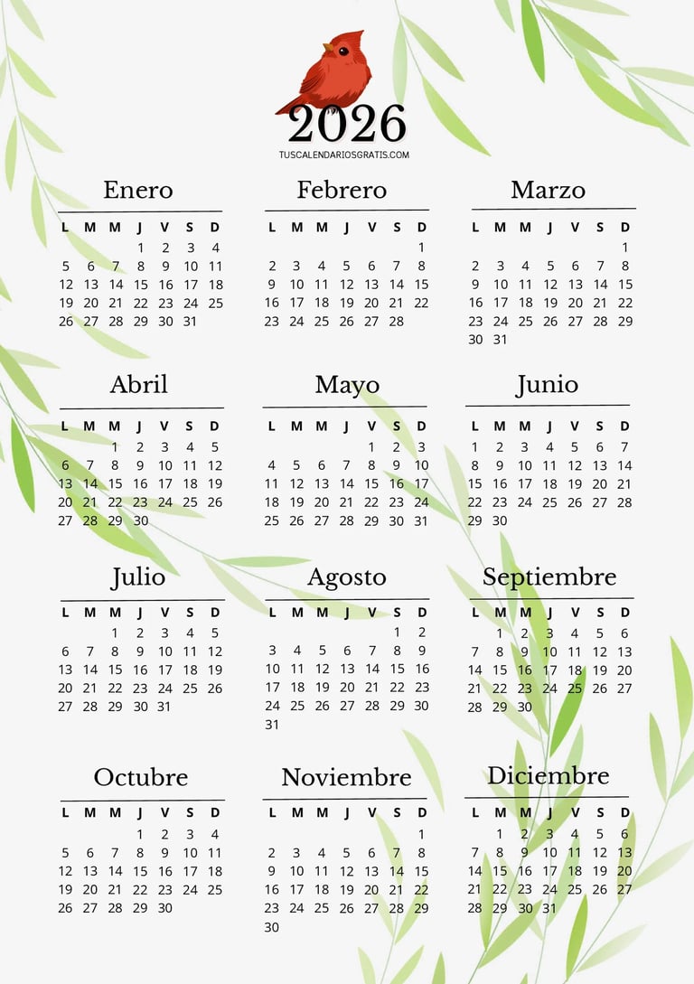 calendario anual 2026 cardenal rojo para imprimir gratis diseño elegante organizacion planificacion 