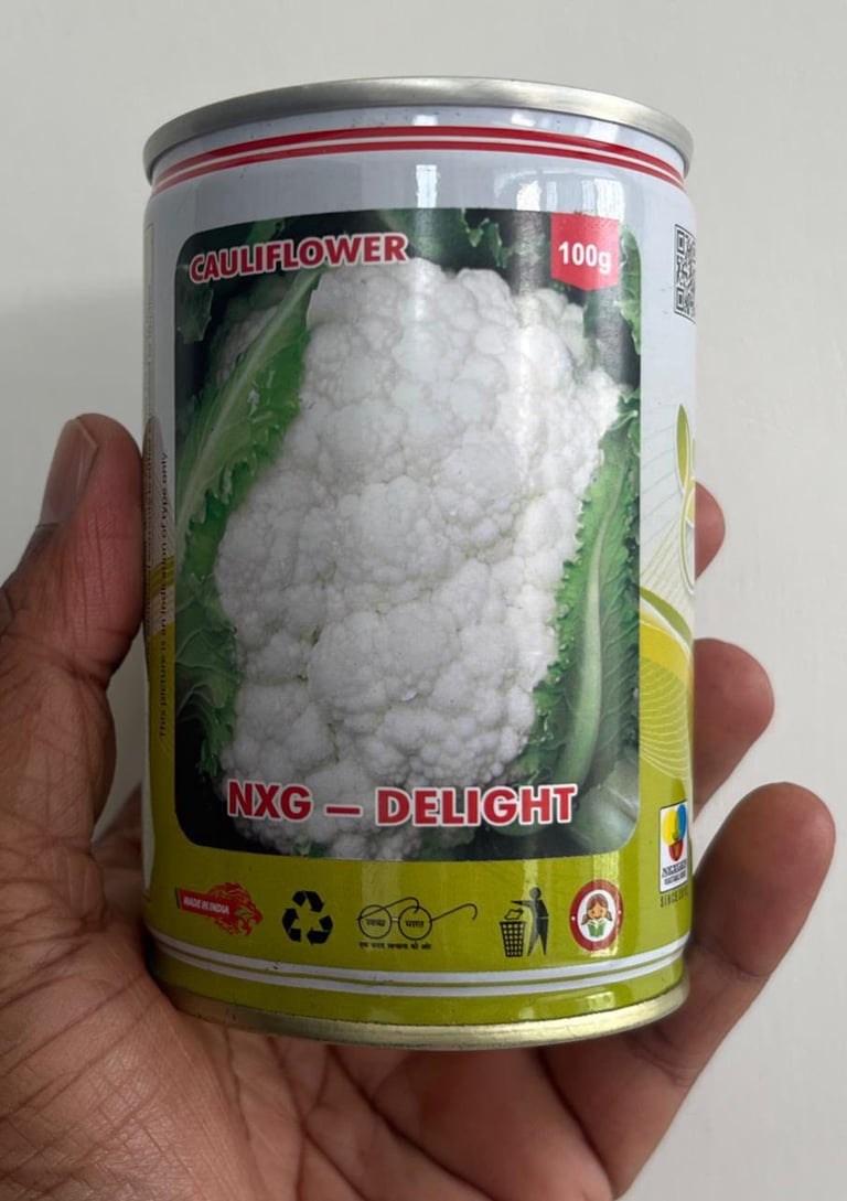 A 100g tin of NXG Delight cauliflower seeds being held, featuring a fresh white cauliflower head on the label.