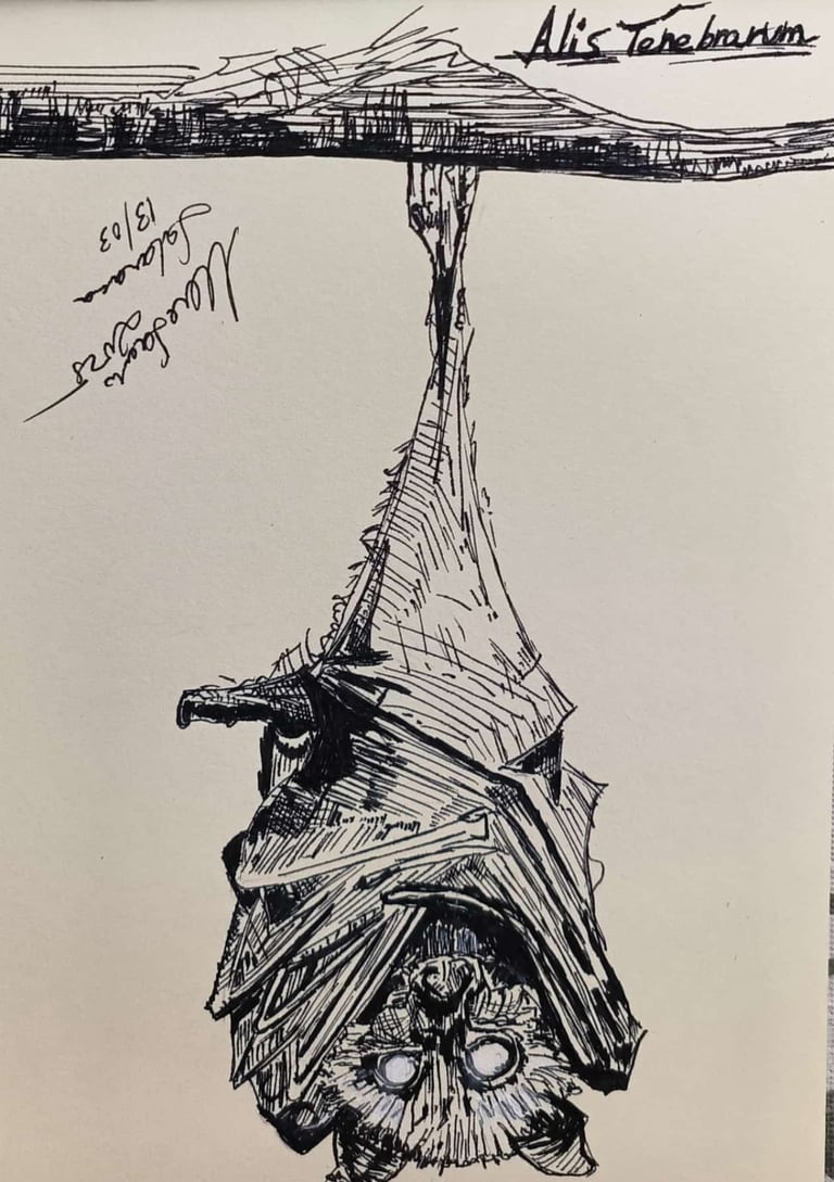 Murciélago. Realizado en tinta. Arte Sancho