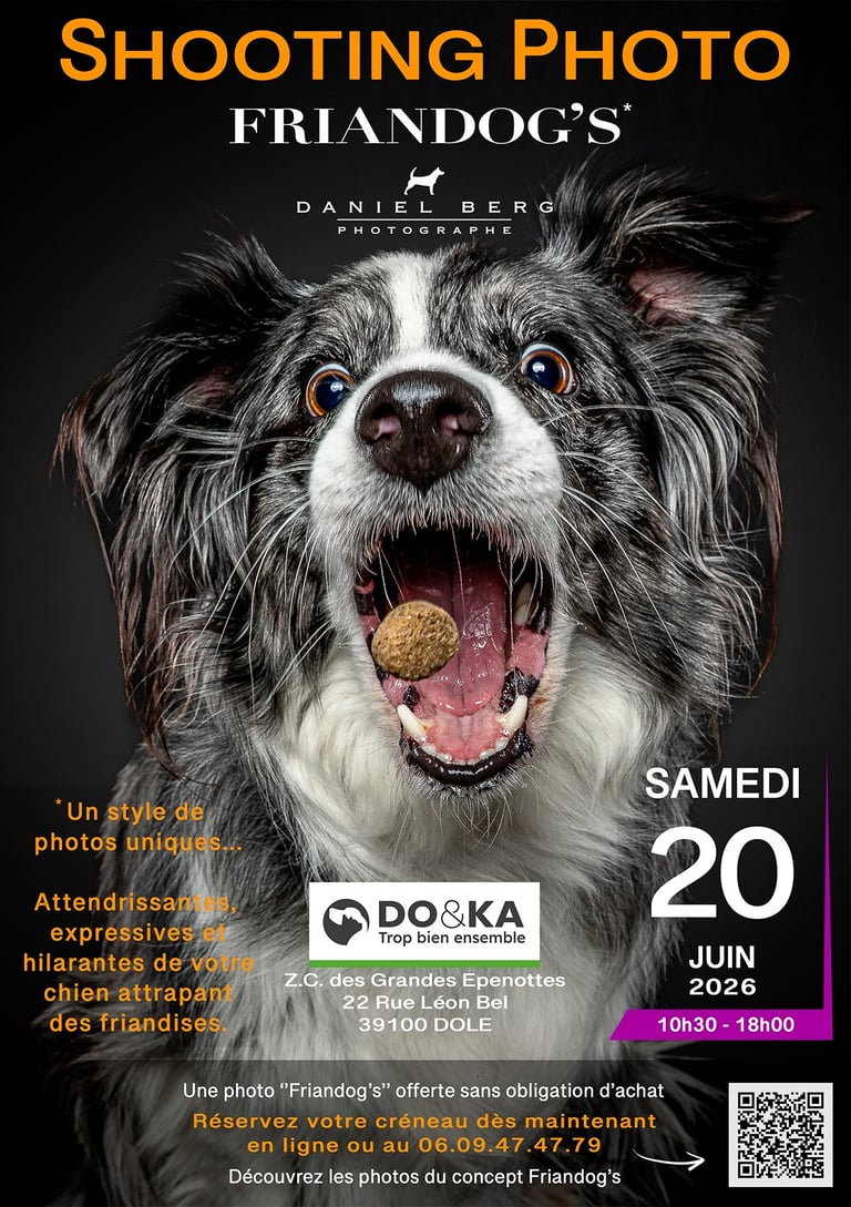 daniel berg photographe, friandog's, votre chien attrapant des friandises au vol, DO&KA Dole