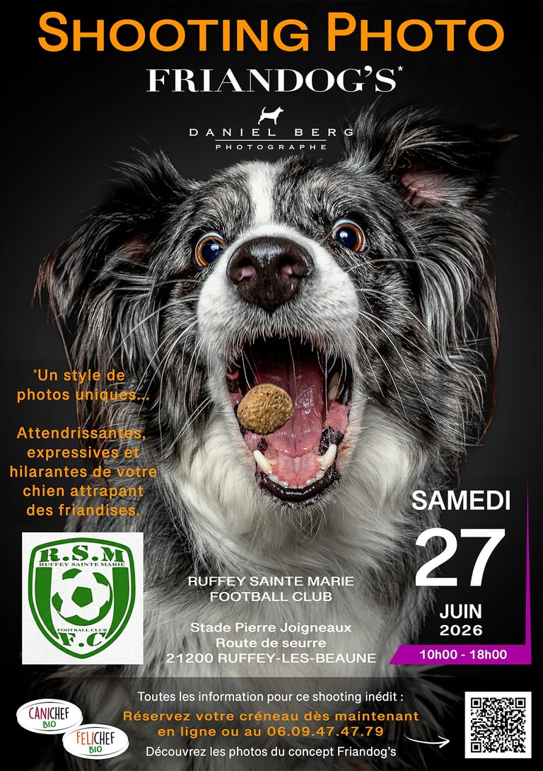 daniel berg photographe, friandog's, photo chien attrapant des friandises, RSMFC, ruffey-les-beaune