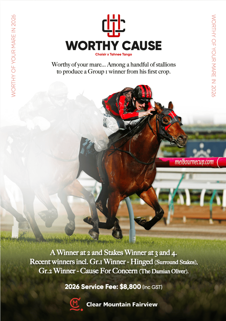 Worthy Cause - Clear Mountain Fairview