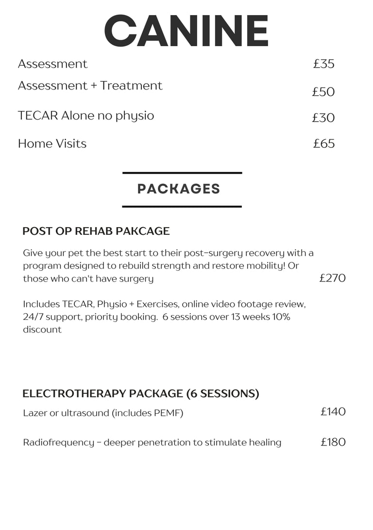 canine physiotherpay prices with home visits in Bodmin, St Austell and Liskeard