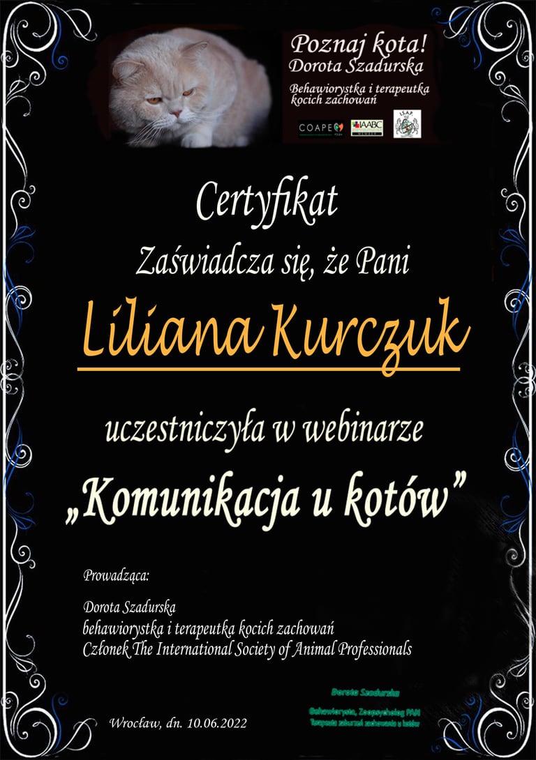 Webinar komunikacja u kotów (Dorota Szadurska).