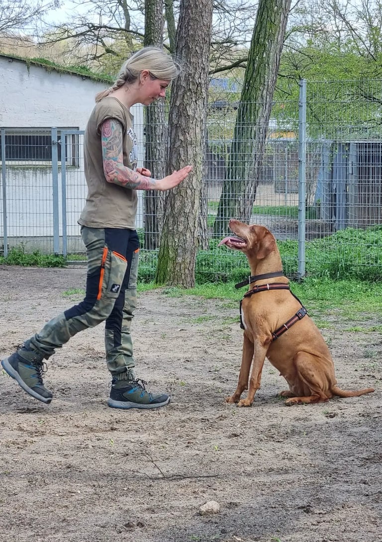 Einzeltraining |  Susanne Scholl im Training 